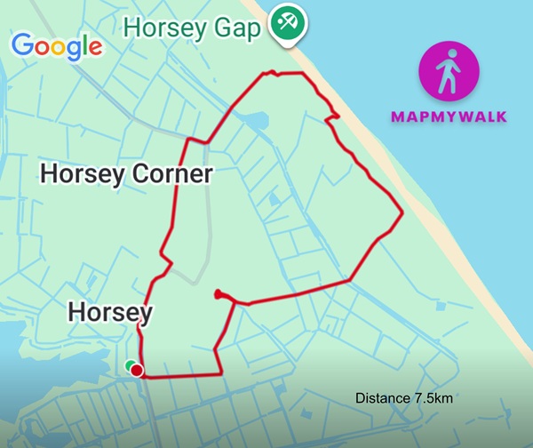 Horsey Walk